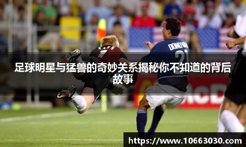 易游体育官方网站